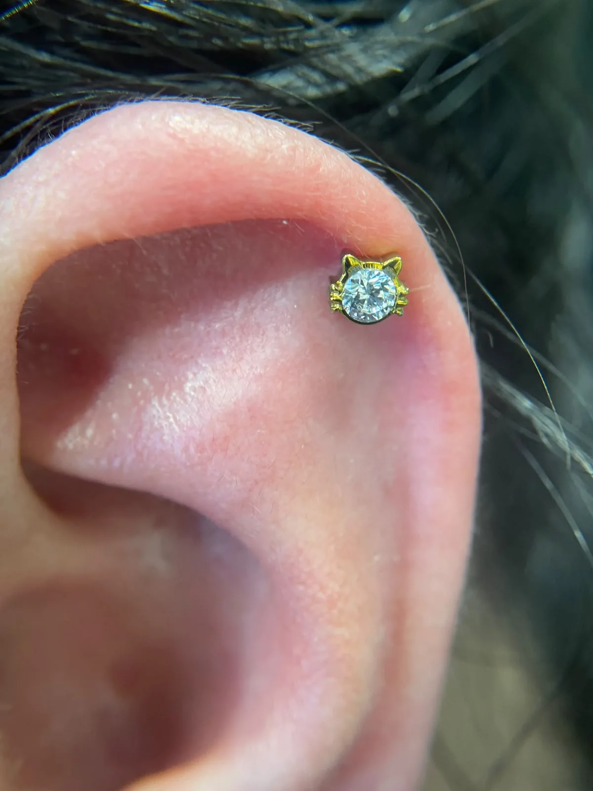 Piercing-Arbeit von Anna bei Most Wanted Berlin – Galerieaufnahme 30