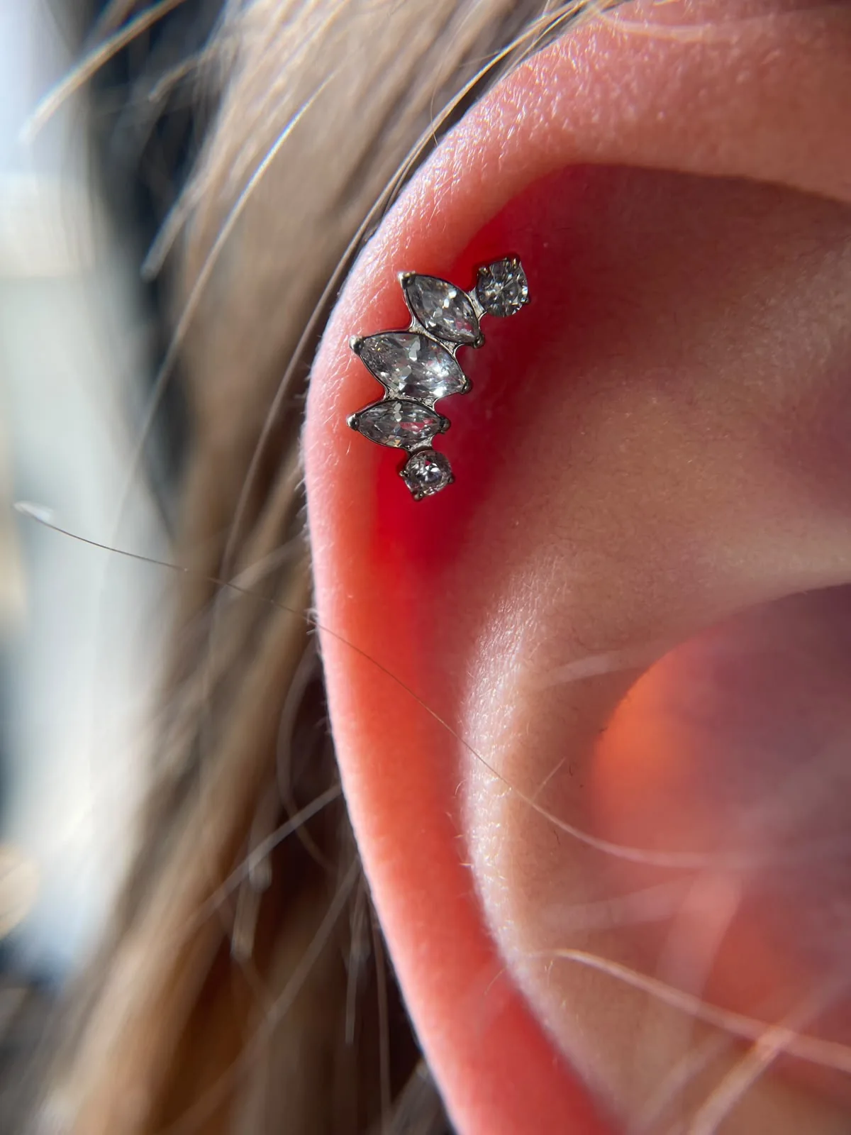 Piercing-Arbeit von Anna bei Most Wanted Berlin – Galerieaufnahme 31