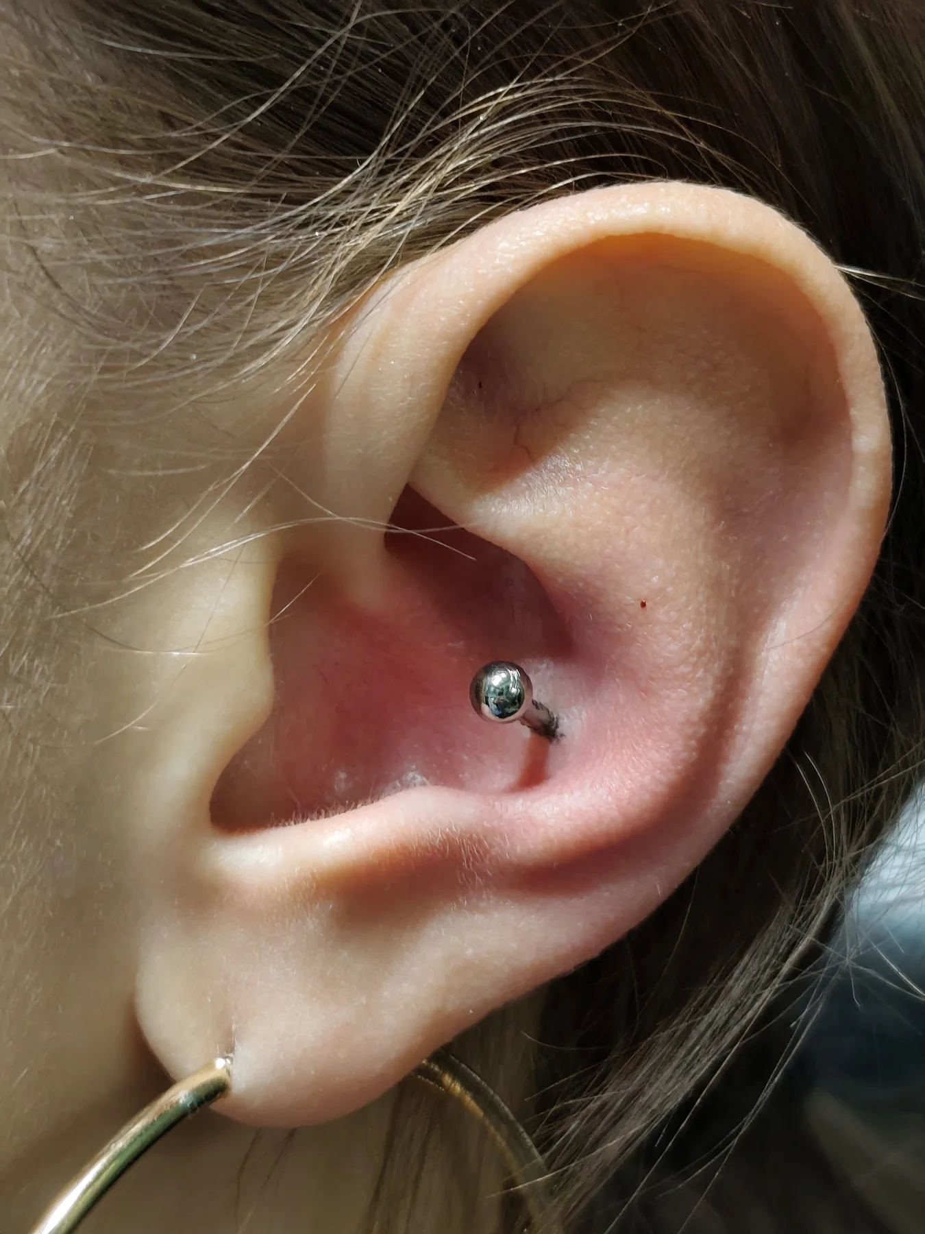 Piercing-Arbeit von Jasmin bei Most Wanted Tattoo & Piercing Berlin – Beispiel 1
