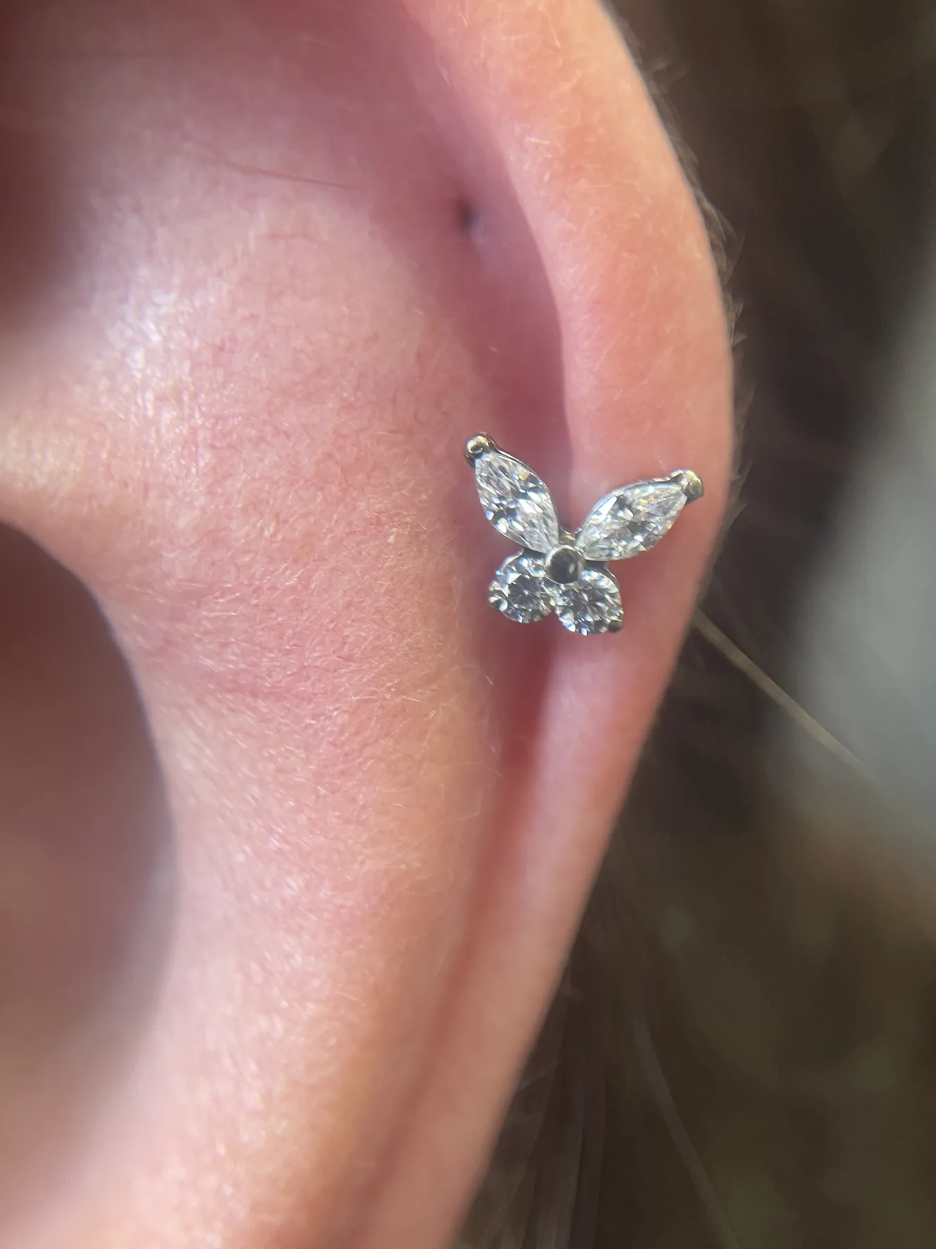 Piercing-Arbeit von Lea bei Most Wanted Berlin – Motiv 19