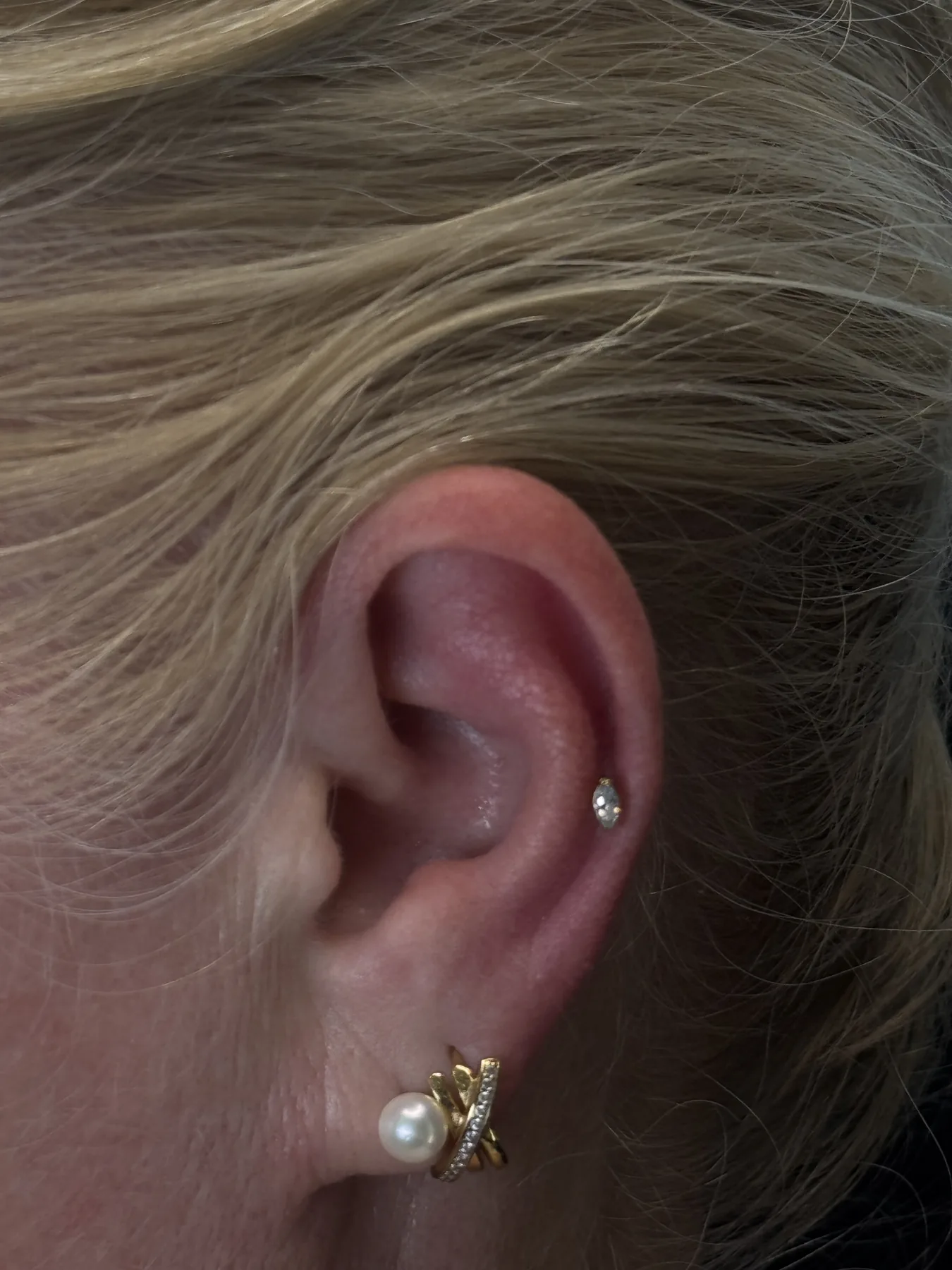 Piercing-Arbeit von Lea bei Most Wanted Berlin – Motiv 22